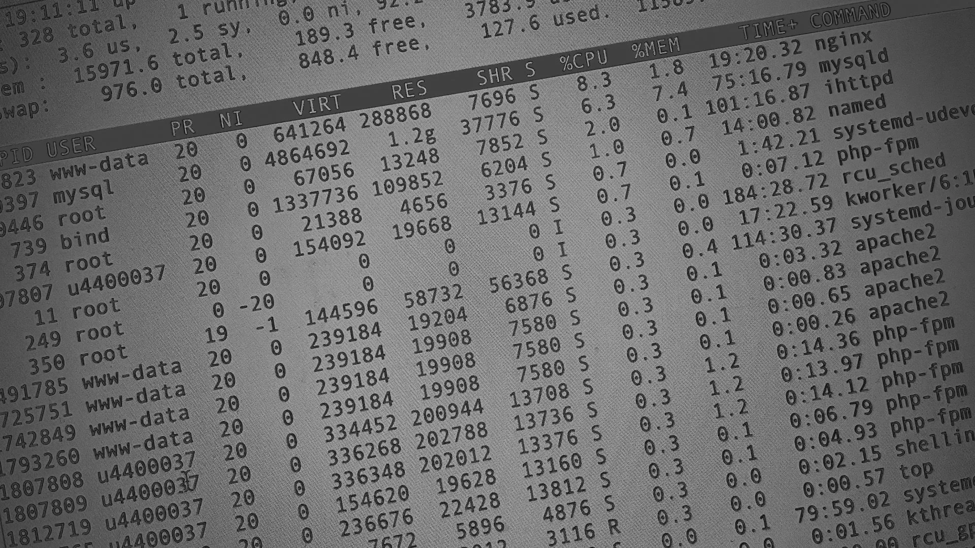 Настройка сервера в Валдае