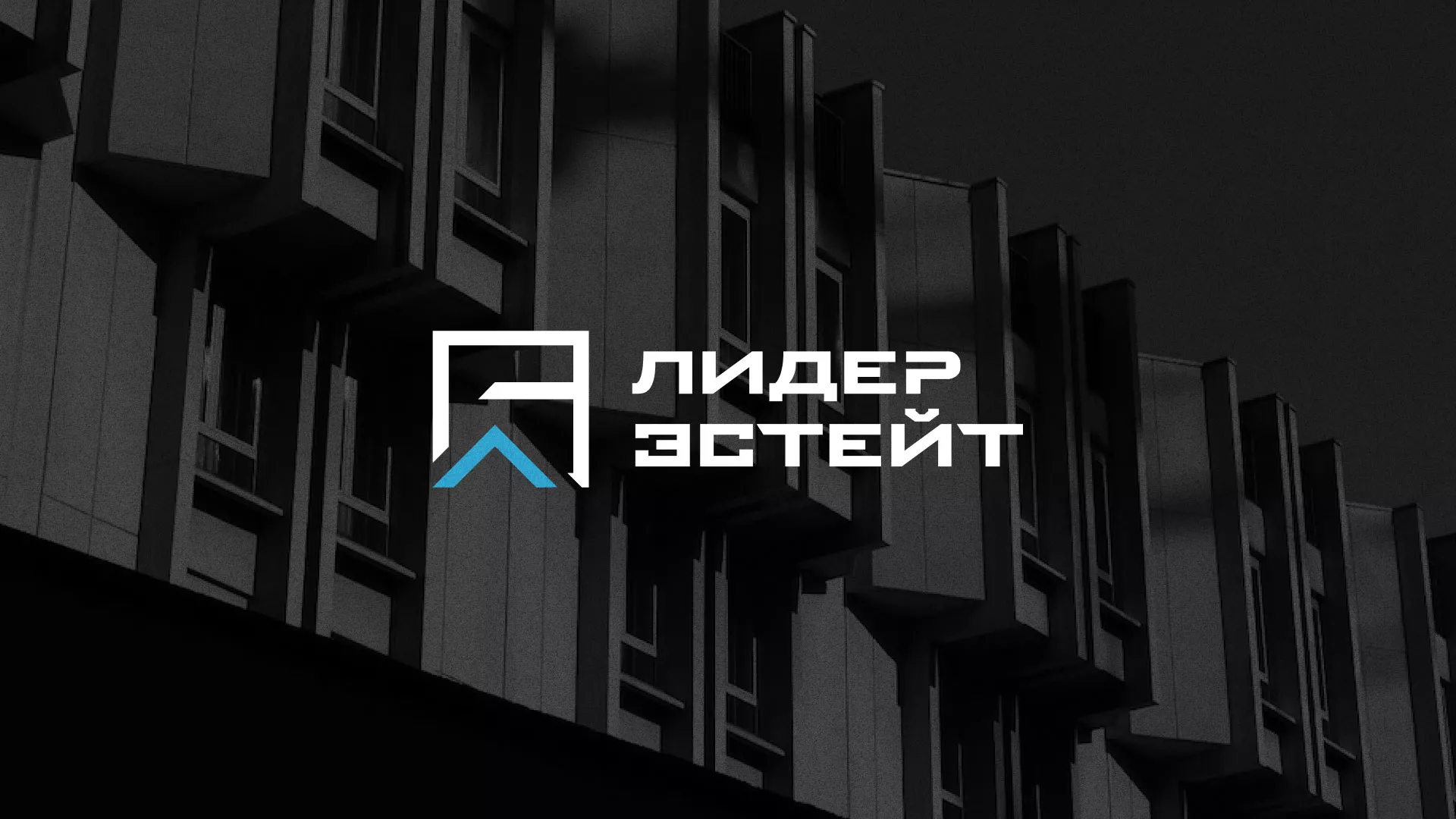 Разработка логотипа агентства недвижимости «Лидер Эстейт» в Валдае